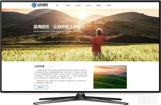 嘉定网站建设全攻略 从设计到推广的一站式解决方案